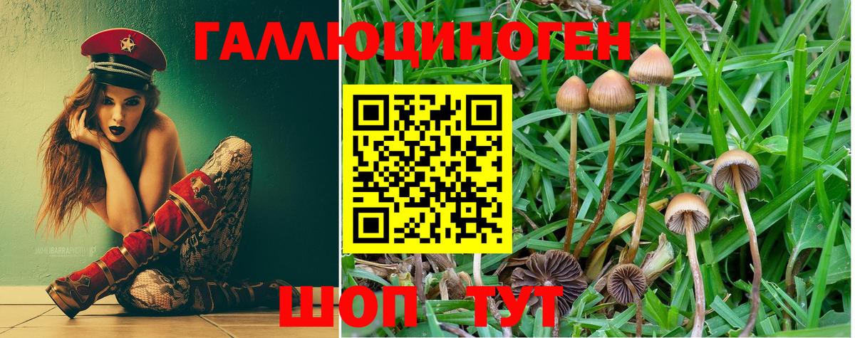 Псилоцибиновые грибы прущие грибы Саянск