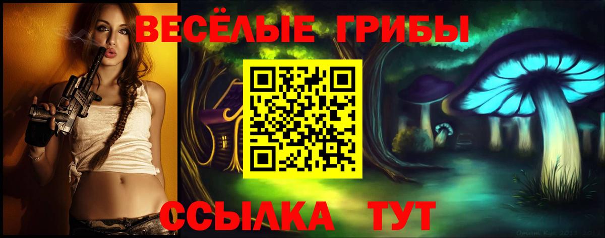купить   Псилоцибиновые грибы мицелий  Вход с VPN  Саянск 